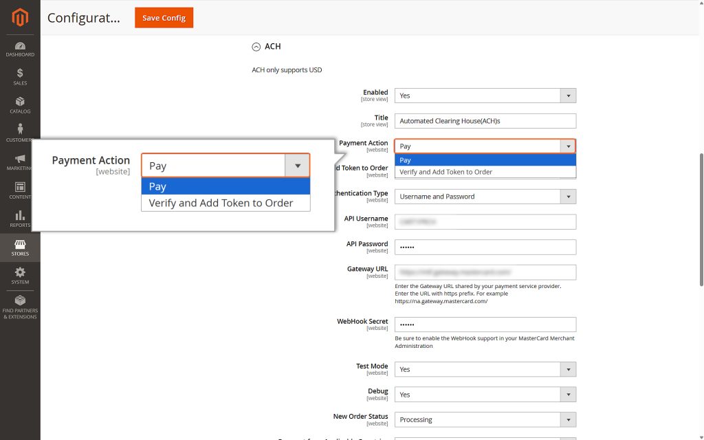 Choosing the payment action - Pay